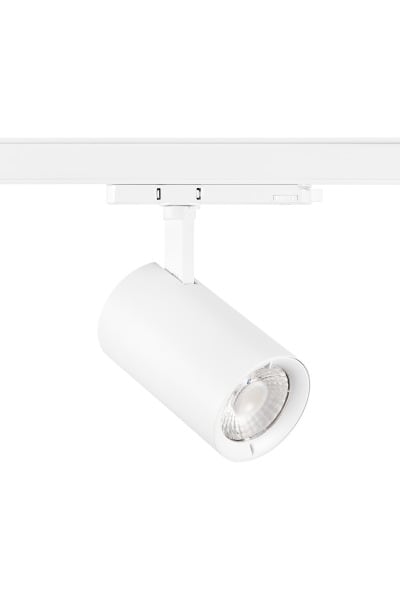 SYLVANIA - Pixo Large Food Früchte 36° weiß