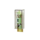 TELE-HAASE - LED+Diode 6-24DC (+A1) f. RSS214, PSS8/3