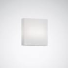 TRILUX - Wanne Deca WD1 PMMA Ersatz