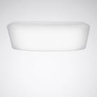 TRILUX - Wanne 74Q WD3 Ersatz