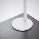 TRILUX - Cultega T FP 01