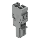 WAGO - 1-Leiter-Federleiste, CAGE CLAMP®, 4mm², grau