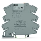 WAGO - Relaismodul, Eingangsnennspannung DC12V, 1 Wechsler, grau