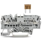 WAGO - 2-Leiter-Sicherungsklemme f.Kfz-Mini-Flachsicherungen gemäß DIN 7258-3f, ISO 8820-3,grau