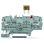 WAGO - 2-Leiter-Sicherungsklemme, f.Kfz-Mini-Flachsicher., Prüfmöglichkeit, grau