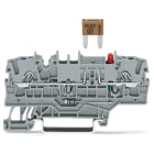 WAGO - 2-Leiter-Sicherungsklemme, f.Kfz-Mini-Flachsicher., Prüfmöglichkeit, grau