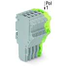 WAGO - 1-Leiter-Federleiste, Push-in CAGE CLAMP®, 1,5mm², grau/grün-gelb