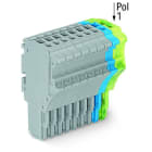 WAGO - 1-Leiter-Federleiste, Push-in CAGE CLAMP®, 1,5mm², grau/blau/grün-gelb