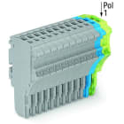 WAGO - 1-Leiter-Federleiste, Push-in CAGE CLAMP®, 1,5mm², grau/blau/grün-gelb