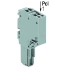 WAGO - 2-Leiter-Federleiste, Push-in CAGE CLAMP®, 1,5mm², grau