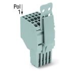 WAGO - 2-Leiter-Federleiste, Push-in CAGE CLAMP®, 1,5mm², grau