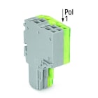 WAGO - 2-Leiter-Federleiste, Push-in CAGE CLAMP®, 1,5mm², grau/grün-gelb