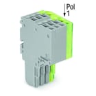 WAGO - 2-Leiter-Federleiste, Push-in CAGE CLAMP®, 1,5mm², grau/grün-gelb