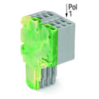 WAGO - 2-Leiter-Federleiste, Push-in CAGE CLAMP®, 1,5mm², grün-gelb/grau