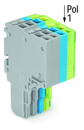 WAGO - 2-Leiter-Federleiste, Push-in CAGE CLAMP®, 1,5mm², grau/blau/grün-gelb