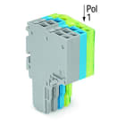 WAGO - 2-Leiter-Federleiste, Push-in CAGE CLAMP®, 1,5mm², grau/blau/grün-gelb