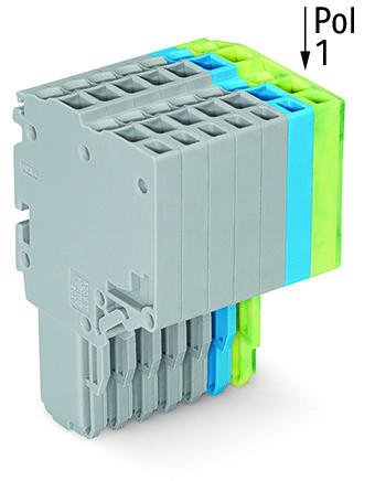 WAGO - 2-Leiter-Federleiste, Push-in CAGE CLAMP®, 1,5mm², grau/blau/grün-gelb