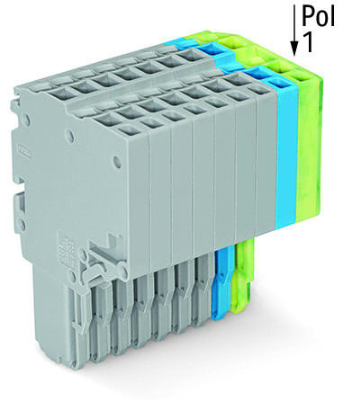 WAGO - 2-Leiter-Federleiste, Push-in CAGE CLAMP®, 1,5mm², grau/blau/grün-gelb