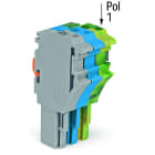 WAGO - 1-Leiter-Federleiste, Push-in CAGE CLAMP®, 4mm², grau/blau/grün-gelb