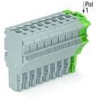 WAGO - 1-Leiter-Federleiste, Push-in CAGE CLAMP®, 4mm², grau/grün-gelb