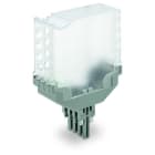 WAGO - Leerstecker, 8-polig, Gehäusefarbe transparent