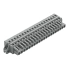 WAGO - 1-Leiter-Federleiste, CAGE CLAMP®, 2,5mm², grau