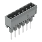 WAGO - Stiftleiste für Reihenklemmen, Stifte 1, 2x1, 2mm, gerade, grau