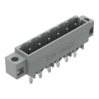 WAGO - THT-Stiftleiste, Lötstift 1, 2x1, 2mm, gerade, grau