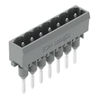 WAGO - Stiftleiste für Reihenklemmen, Stifte 1, 2x1, 2mm, gerade, grau