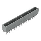 WAGO - THT-Stiftleiste, Lötstift 1, 2x1, 2mm, gerade, grau