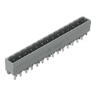 WAGO - THT-Stiftleiste, Lötstift 1, 2x1, 2mm, gerade, grau