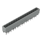 WAGO - THT-Stiftleiste, Lötstift 1, 2x1, 2mm, gerade, grau