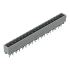 WAGO - THT-Stiftleiste, Lötstift 1, 2x1, 2mm, gerade, grau