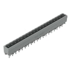 WAGO - THT-Stiftleiste, Lötstift 1, 2x1, 2mm, gerade, grau