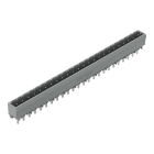 WAGO - THT-Stiftleiste, Lötstift 1, 2x1, 2mm, gerade, grau