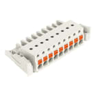 WAGO - 1-Leiter-Federleiste, Drücker, Push-in CAGE CLAMP®, lichtgrau