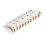 WAGO - 1-Leiter-Federleiste, Drücker, Push-in CAGE CLAMP®, lichtgrau