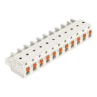 WAGO - 1-Leiter-Federleiste, Drücker, Push-in CAGE CLAMP®, lichtgrau
