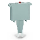 WAGO - Sicherungsstecker, mit eingelöteter Miniatursicherung, mit Leuchtanzeige, grau