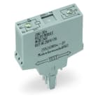 WAGO - Relaismodul, Eingangsnennspannung DC24V, 1 Wechsler, grau