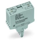 WAGO - Relaismodul, Eingangsnennspannung DC24V, 2 Schließer, grau