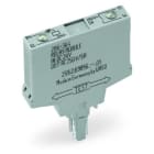 WAGO - Relaismodul, Eingangsnennspannung DC24V, 1 Schließer, grau