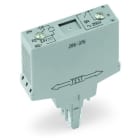 WAGO - Relaismodul, Eingangsnennspannung DC24V, 1 Schließer, grau