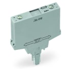 WAGO - Bauteilmodul mit Sicherung, für Feinsicherung 5x20mm, Nennspannung AC/DC 230V, grau
