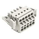 WAGO - 2-Leiter-Federleiste, Push-in CAGE CLAMP®, 2,5mm², lichtgrau