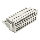 WAGO - 2-Leiter-Federleiste, Push-in CAGE CLAMP®, 2,5mm², lichtgrau