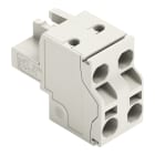 WAGO - 2-Leiter-Federleiste, Push-in CAGE CLAMP®, 2,5mm², lichtgrau