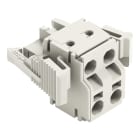 WAGO - 2-Leiter-Federleiste, Push-in CAGE CLAMP®, 2,5mm², lichtgrau