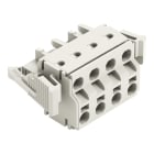 WAGO - 2-Leiter-Federleiste, Push-in CAGE CLAMP®, 2,5mm², lichtgrau