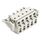 WAGO - 2-Leiter-Federleiste, Push-in CAGE CLAMP®, 2,5mm², lichtgrau